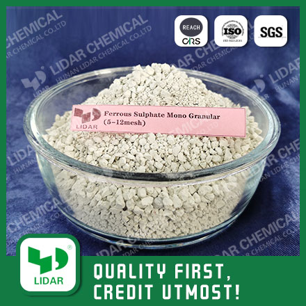 Ferrous Sulphate Mono Granular 5-12mesh (FeSO4·H2O）